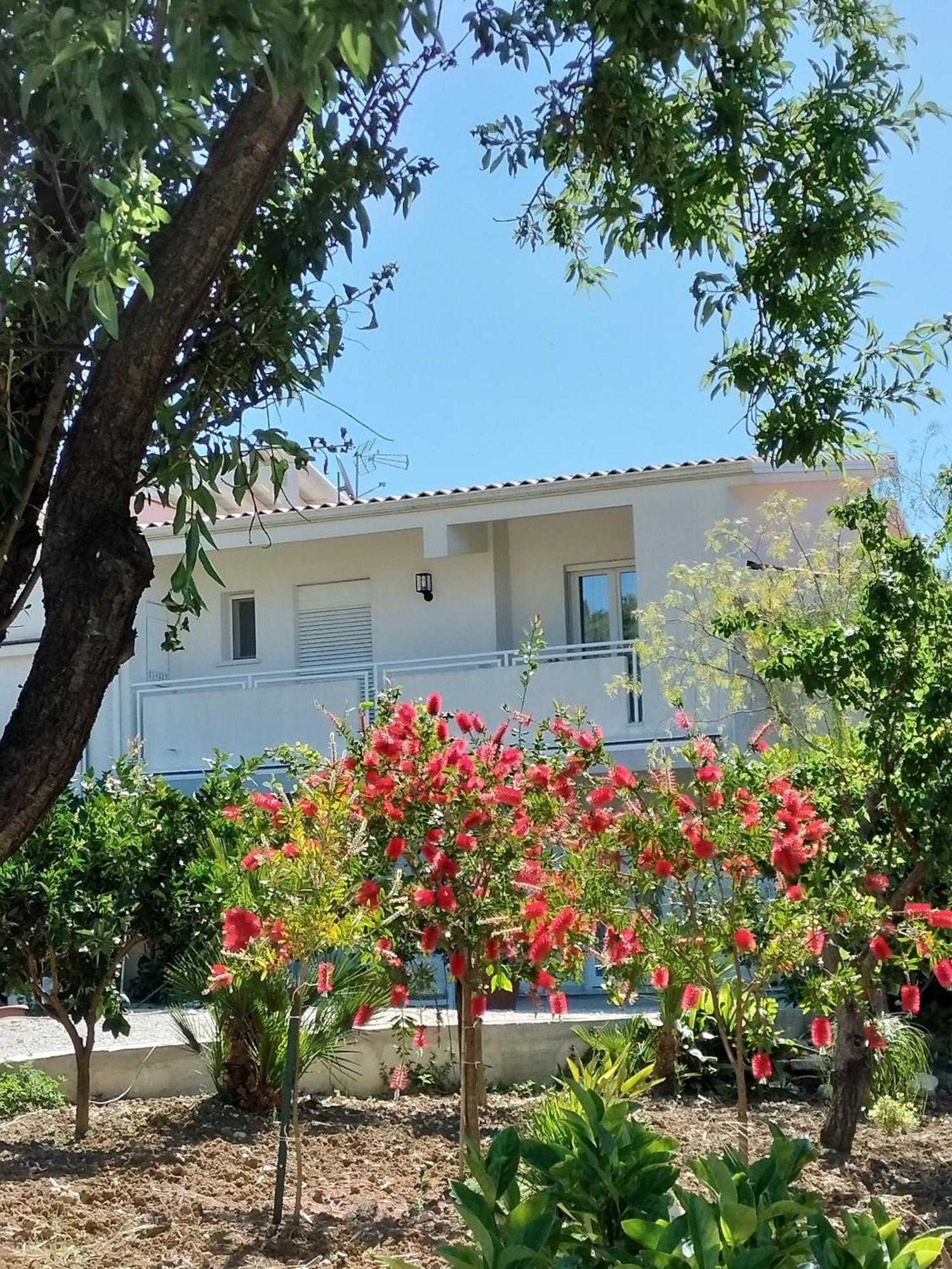 Casa Ferreri Hotel Santa Ninfa Exterior photo